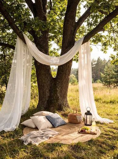 Flowing white fabric draped beneath a tree